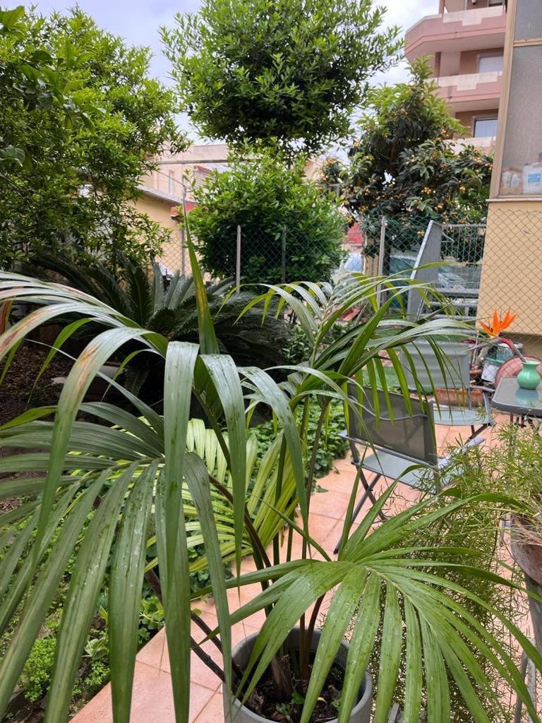 Ferienwohnung Tangerine Tree House Cagliari Exterior foto